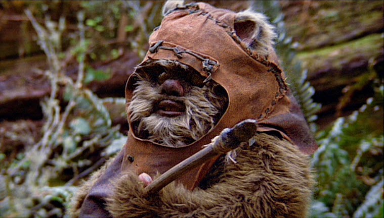 Ewok_ERJ