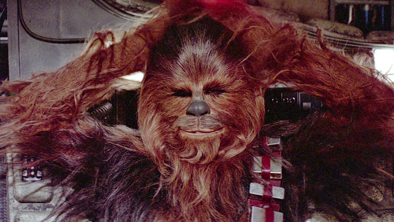 chewie-db_2c0efea2